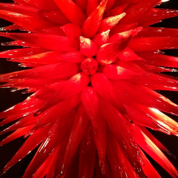 Meet your Posher, BonShpr - Picture 1 of 1